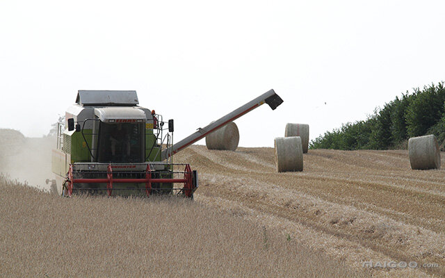 农业物联网应用领域_农业在物联网中的应用_